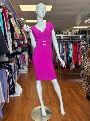 Size 0 Boston Proper Fuschia Dress