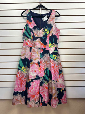 Size L Eliza J Multi-Color Dress