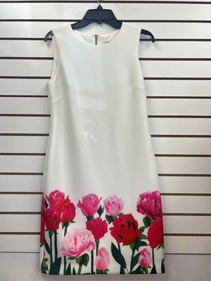 Size 8 Calvin Klein Ivory Print Dress