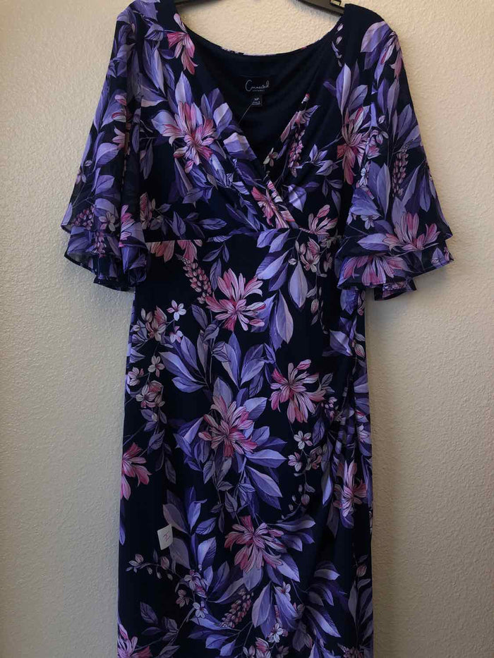 Size 10P Connected Apparel Blue & purple Dress